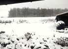 Ferienhaus Flechtdorfer Waldblick