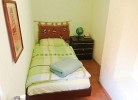 0041/ Lucano-1
