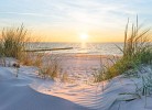 Strandhaus/Stranddistel