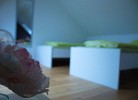 Komfort Ferienwohnung Friesenwind