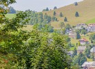 Ferienwohnung  Schauinsland