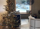 Ferienhaus TierbachLodge