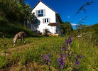 Ferienhaus NaturTon
