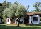 Residenz San Giorgio Zweizimmer-Ferienhaus Tipo 2-V
