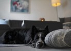 Ferienwohnung Am Stadtpark