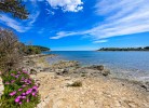 Camp Peskera Mobilehome Premium Pet Friendly