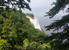 FeWo unter Reet am Wald Rügen