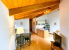 Villa Perkunos Wohnung 16