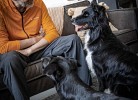 Ferienwohnung  ScheunenRefugio