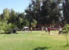 Camping Iscrixedda Mobilehome Happy Premium