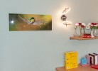 Ferienzimmer Uferschwalbe mit Terrasse und traumhaftem Seeblick