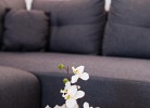 5Sterne Ferienwohnung Orchidee