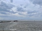 Küste33-15 - STRANDNEST