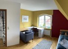 Kiebitznest