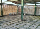 Residenz Cala di Seta Dreizimmer-Wohnung Luca mit Meerblick