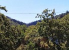 Komfort-Fewo SkywalkBlick (MeineCard+ inkl.)
