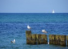 Fewo Im Wiesengrund