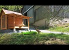 Reiterhof Finkenmühle Fewo Romano mit Balkon