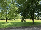 Ahrenshof W 14