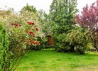Luise