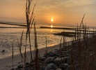 App. Frische Brise