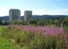 Panoramablick Hohegeiß Sauna/Hallenbad