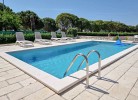 Apartment Olimpia 3