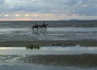 Ferienwohnung Nordsee, Swatten Diek 35, Sahlenburg, Haustiere erlaubt