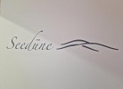 Ferienwohnung Seedüne