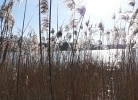 Landhaus am See App. 2