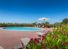 Camping Papafigo Zelt