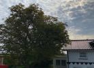 Haus Wind und Meer 4 Meerblick
