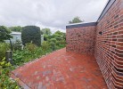 Wilde Brise 3