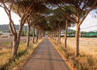 Resort Capalbio Zweizimmer-Bungalow Smart Bilo