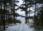 Ferienwohnung Nordsee, Swatten Diek 35, Sahlenburg, Haustiere erlaubt