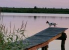 NEU! Ferienwohnung Ahlbeck - Stettiner Haff