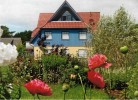 Wiesenblick 7