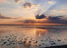 FeWo Deichblick OG am Jadebusen/Nordseeküste