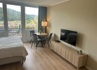 Baiersbronner Blütenbrise – Balkon & Schwarzwaldblick - Mein Schwarzwaldhäusle GmbH