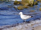 Fewo Waldblick 1