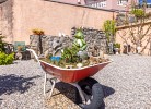 Apartment Roko 1