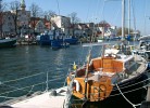 Spatzennest
