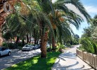 Apartment Antak 2