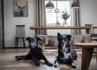 Ferienhaus Chalet an der Brettach