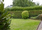 Inselblume 40 - Ferienhaus mit Garten in Dänschendorf
