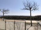 02 Ferienwohnung 'Strandnest 1'  Strandburg App.0.2 rechts