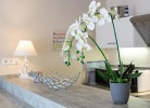Ferienwohnung Dünentraum