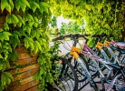 Tenuta Regina Wohnung Folaghe Bilocale für 4 Personen
