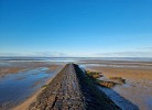 Frische Brise 05.01
