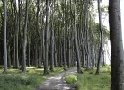 Fewo Ostseemuschel